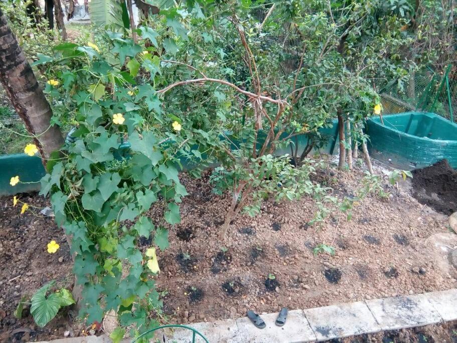 Bhitey Homestay Simantapally / Shantiniketan מראה חיצוני תמונה