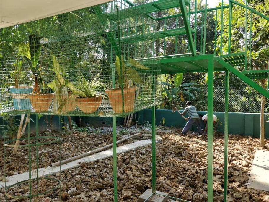 Bhitey Homestay Simantapally / Shantiniketan מראה חיצוני תמונה
